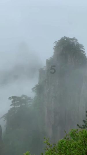 沪江开心词场